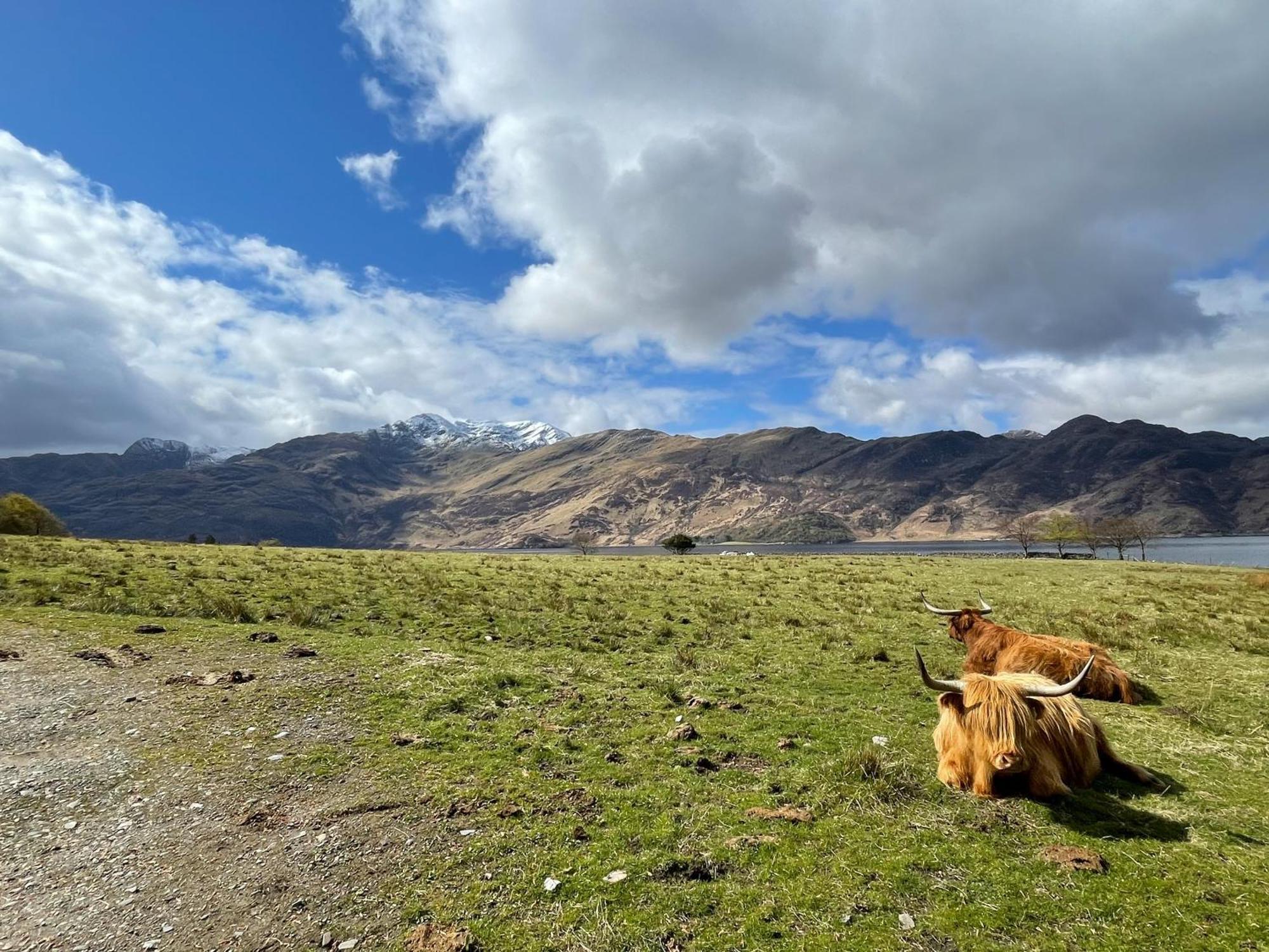 Sheenas Butnben Arnisdale المظهر الخارجي الصورة